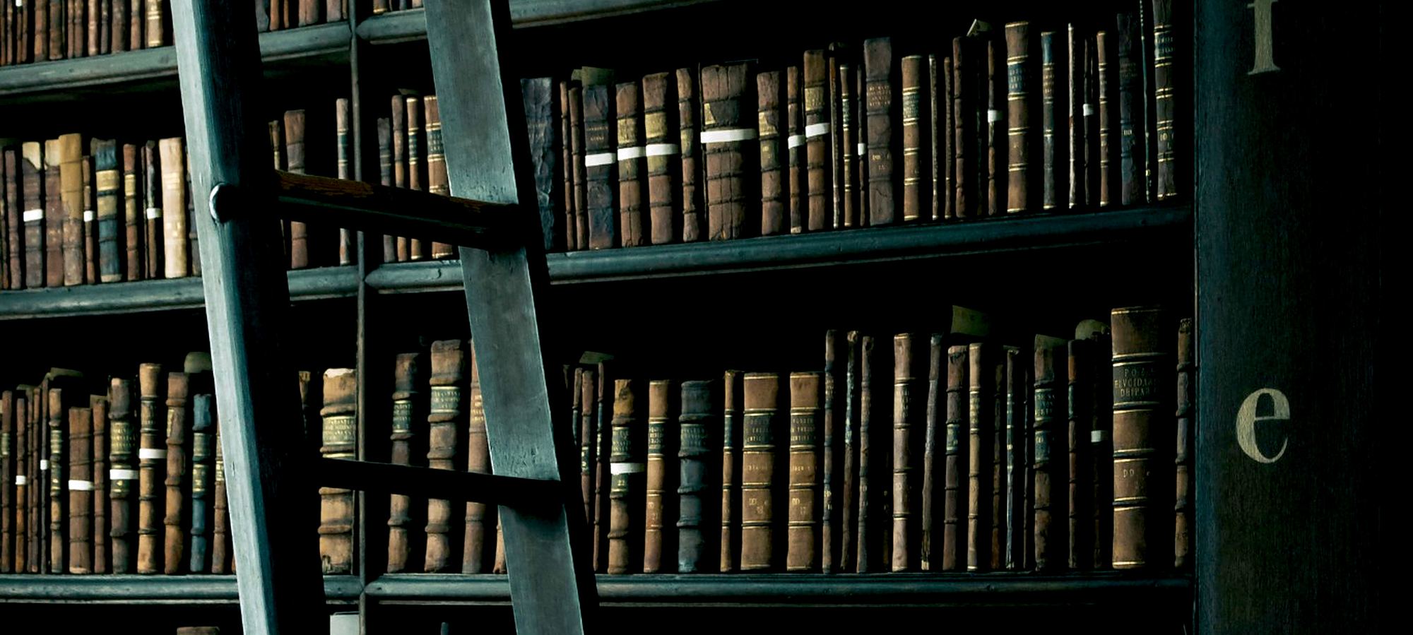 Historic library shelves with a wooden ladder