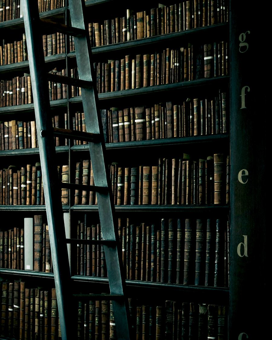 Historic library shelves